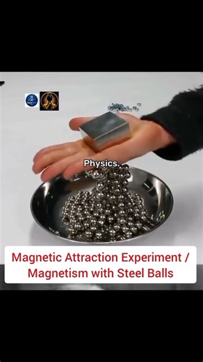 Amazing Magnetism Experiment 🧲 | Watch Steel Balls Move Like Magic!