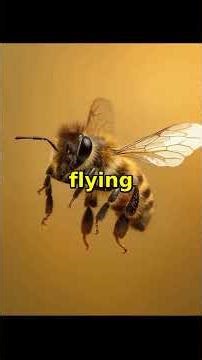 Honeybees Solve the Shortest Route Puzzle (with smart shortcuts) #shorts #viral