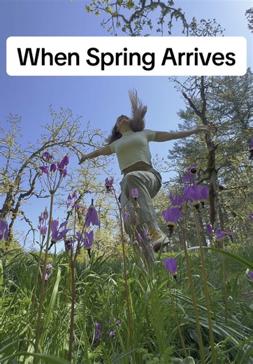 Spring Awakening: Nature's Beauty Unveiled