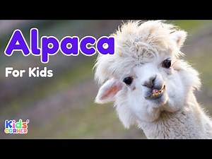Alpaca for Kids | Facts About Alpaca | Learn About Alpaca | Animals For Kids