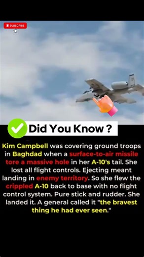 Why This A 10 Pilot Chose Death Over Ejection 🛩💥