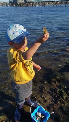 ERIC SEP37 #KidsExploring #NatureForKids #BeachAdventure #CuriousKids #NaturalWorld