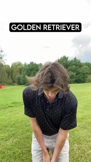 8.8K views · 177 reactions | How dog breeds golf | Phalla Ath | Facebook