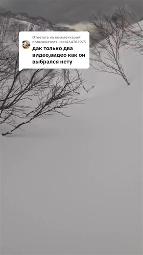 Ответ пользователю @user464787975 Да, я выбрался оттуда. Это было 3 года назад в Японии. Продолжение не могу показать, так как там была 🩸#fyp #foryou #trending #viral #makerhisviral