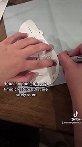 Bring the House Hippo home. A DIY kit that recreates Canada’s most nostalgic creature. Perfect gift for 90s kids. Plus 2% of every sale is donated directly to the community through our #CraftChange initiative! | Maker House Co.