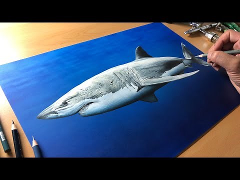 Great White Shark Drawing - Timelapse | Artology