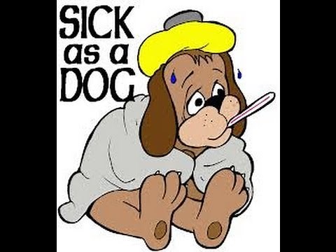 HOW TO GET SICK FAST!!