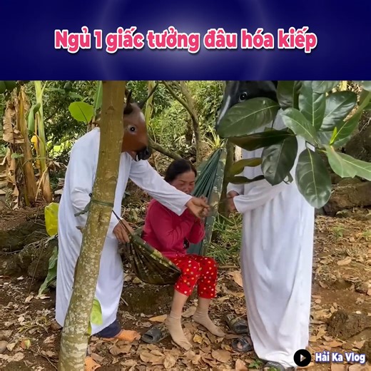 3.5M views · 10K reactions | Chỉ là á.c mộng thôi ------ Nguồn: Hải Ka Vlog Nội dung được dàn dựng theo kịch bản và diễn xuất, không thử tại nhà dưới mọi hình thức Bản quyền được bảo vệ và quản lý bởi MCV Network #MCV #Viral #haikavlog #NWT #HKVL | Tạp chí 360 | Facebook