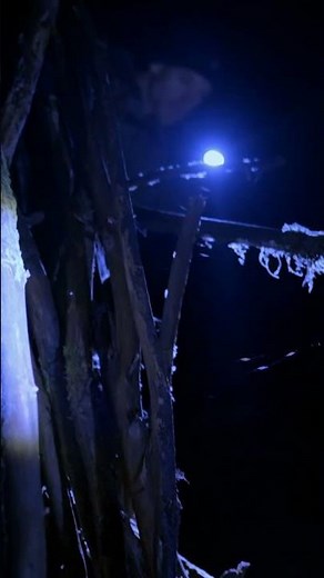 Bigfoot Tree Structures Found In Northern California Forest | Expedition Bigfoot | Discovery Channel