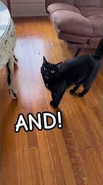 Breathe Easy with Airdog #airdog #airpurifier