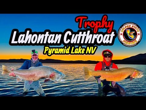 Trophy Lahontan Cutthroat trout fishing Pyramid Lake, NV