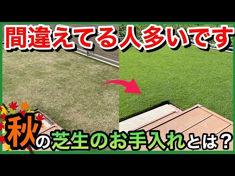 [Important] Autumn lawn care