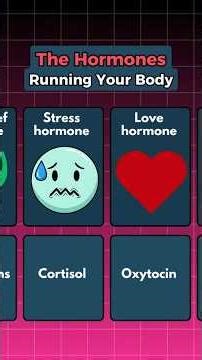 Why Hormones Control Everything You Do #health #hormones