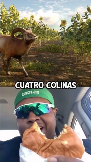 🗺️TheHunter: Call of the Wild Maps RATED! #thehuntercallofthewild #callofthewild #thehunter