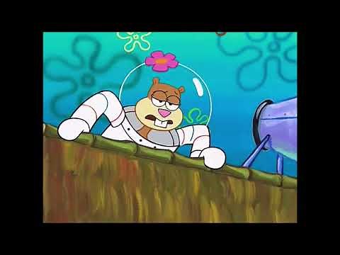 "No, You Ain't." - Sandy Cheeks