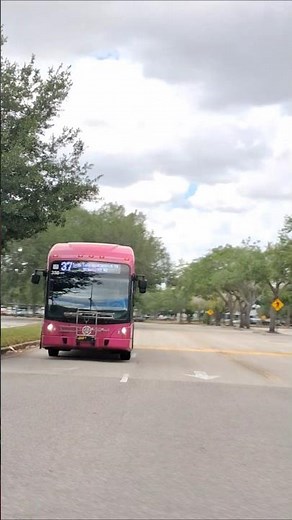 LYNX Bus Orlando 2023 Gillig BRT CNG 358-423 on Link 37 leaving The Florida Mall