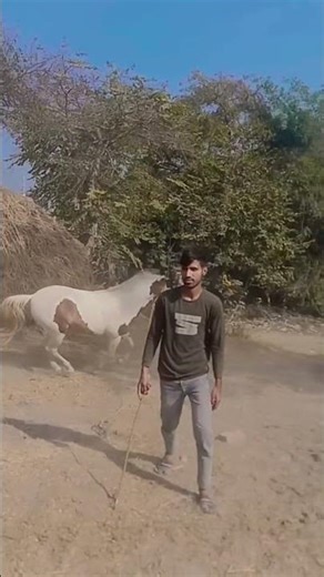 #ghode ki# race# #ghode ki race#ghode ki video #horse #viral video