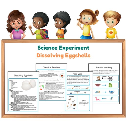 Dissolving Eggshells Science Experiment: Kids Chemical Reactions (digital Download) - Etsy Australia