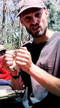 Working with different materials _ part of Steiner teacher training