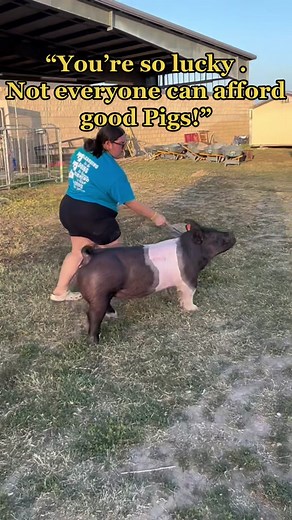 Livestock Auction and Pig Barn Showmanship