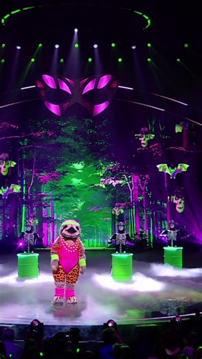 Who is Behind the Mask? Sloth Edition