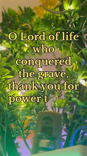 He is Risen! ✝️ Easter Sunday Morning Prayer & Poem