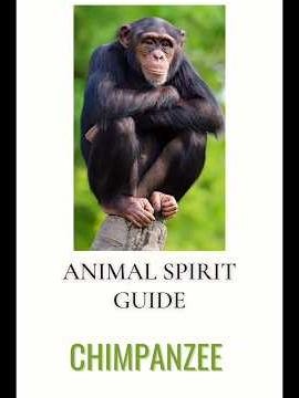 CHIMPANZEE || Animal Spirit Guide || To Clear Misunderstanding || © Priyanka Chakrabarty