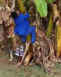 10K views · 289 reactions | Eric omondi performs Embarambamba style... | Magufuli Benjamin | Facebook