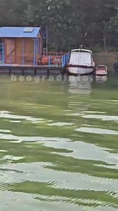 Ada Ciganlija.. | Moji ortaci sa velikom čukom