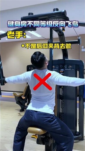 Unlock Your Fitness: Mastering Reverse Bird Levels in the Gym