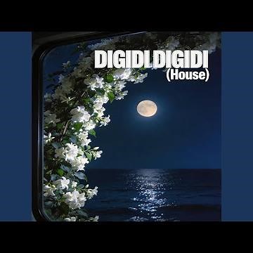 Digidi Digidi（House）