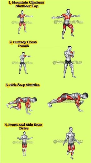 Quick Full Body Workout: Bear Crawl to Jabs! 🐻🥊