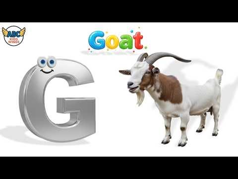 Learn Letter G Phonics Song | G for Goat 🐐 ABC Alphabet Song for Kids | ABCD Song | Nursery Rhymes