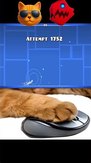 $1k vs boss 😈✈️