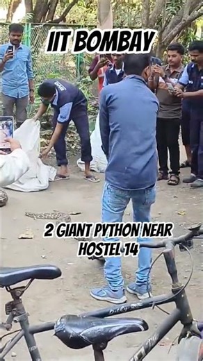 PYTHON SHOCKED IIT BOMBAY 😱 #iitbombay #jee #iit #iitjee #technology