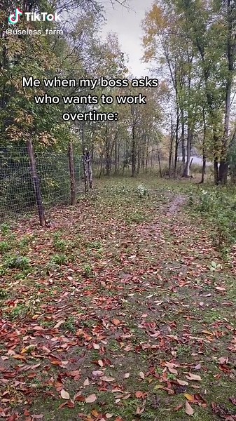 You can literally hear the tires squealing in the parking lot bye | tires