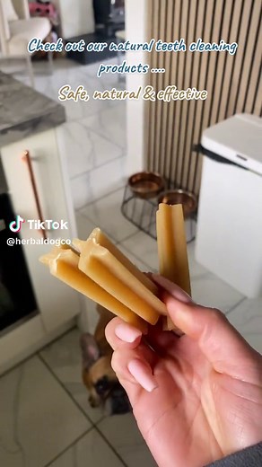 Effective and Natural Ways for Dog Teeth Cleaning