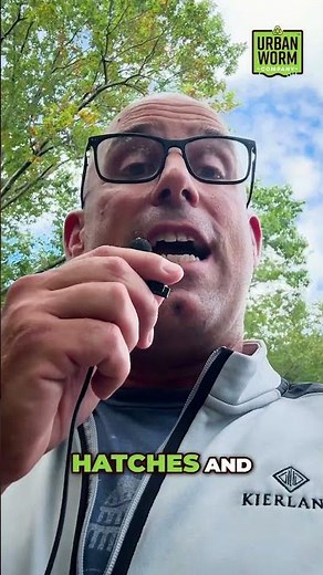 Worm Breeding Secrets You Never Knew!