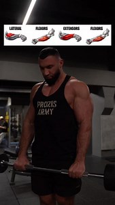 FOREARM WORKOUT - FULL DOMINATION Прокачиваем ВСЕ мышцы предплечья за одну тренировку ⸻ 1️⃣ Reverse Grip Barbell Curl 🎯 Lateral (Radial) group Brachioradialis • Толщина и мощь предплечья ⸻ 2️⃣ Barbell Wrist Curls on Bench 🎯 Flexor group • Масса и объем снизу • Контроль в негативе ⸻ 3️⃣ Barbell Wrist Extensions on Bench 🎯 Extensor group • Баланс силы • Здоровые локти и кисти ⸻ 4️⃣ Cable Wrist Curls 🎯 Flexors constant tension • Добивка • Максимальное жжение ⸻ 💡 Tips: • Работай медленно • Полн