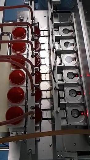 ♥️♥️ #lablife #Microbiology | Lab life