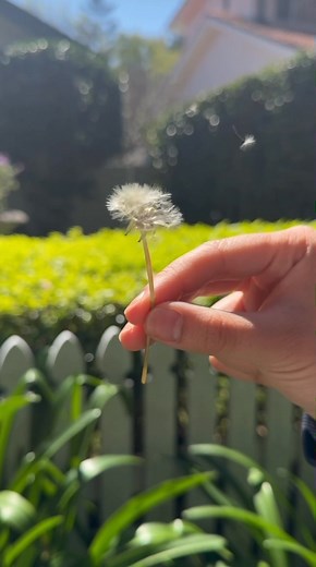 Spring may be in full swing, but so is hayfever 蠟 If you're battling sneezing, itchy eyes or a runny nose, you're not alone. At Riverview Pharmacy, we've got you covered with a wide range of hayfever relief including antihistamines, nasal sprays and eye drops to help you breathe easier and enjoy life  #hayfeverrelief #AllergySeason | Riverview Pharmacy Services | Facebook