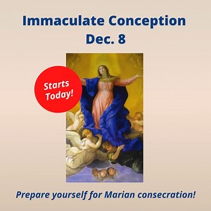 3.1K views · 459 reactions | STARTS TODAY! A 33-day preparation for...