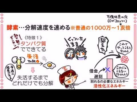 生化学(生物)４話「酵素のはたらき」