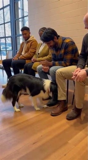 Lost Dog Finds His Owner After Months – The Reunion Will Make You Cry! 😭🐾