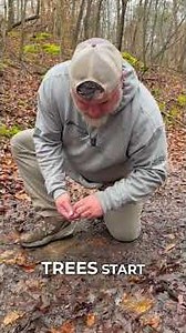 3 Signs Spring is Here (Before the Calendar Says So)