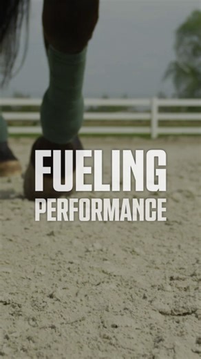 Great performance comes from great nutrition. When building a solid feed program, keep these essentials in mind. | Purina Horse Feed