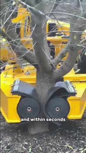 This Machine Shakes Trees Like Crazy to Harvest Fruit! 🍊