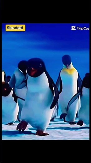 Happy Feet