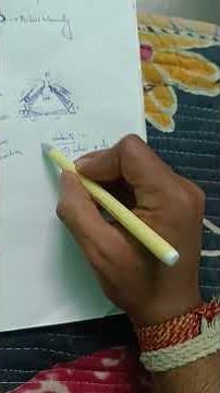 Perineum Anatomy