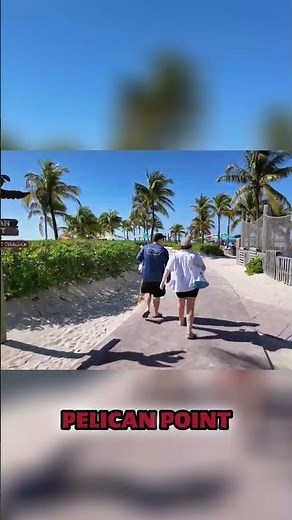 Explore Pelican Point: Unwind with Stunning Views of the Ship!